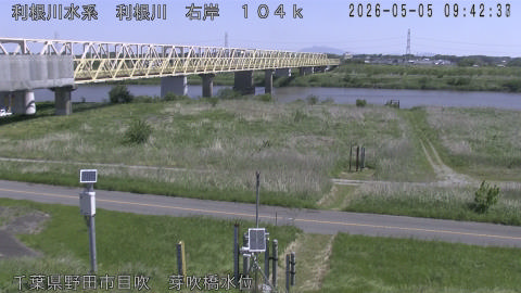 tonme2026050510_image
