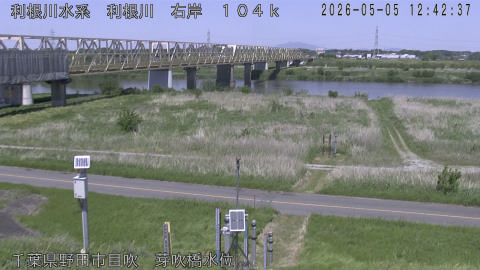 tonme2026050513_image