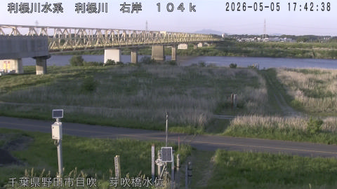 tonme2026050518_image