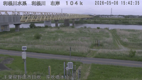 tonme2026050616_image
