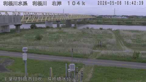 tonme2026050617_image