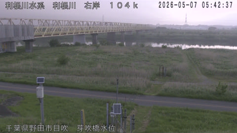 tonme2026050706_image