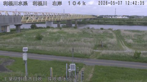 tonme2026050713_image