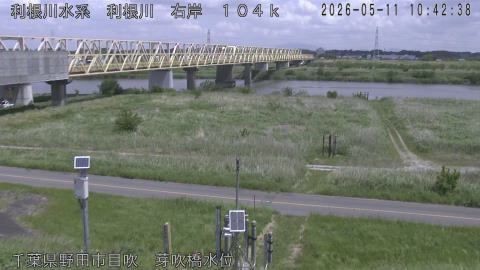 tonme2026051111_image