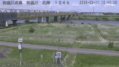 tonme2026051113_image