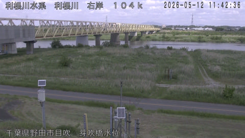tonme2026051212_image