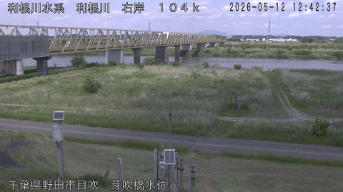 tonme2026051213_image