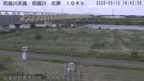 tonme2026051215_image