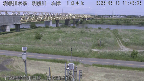 tonme2026051312_image