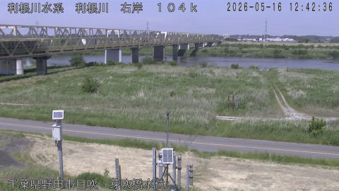 tonme2026051613_image