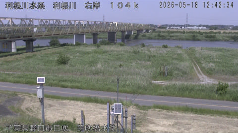 tonme2026051813_image