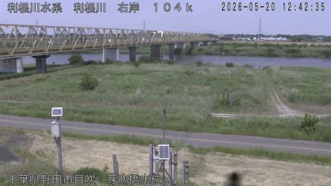 tonme2026052013_image