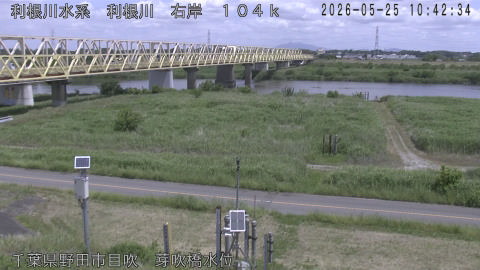 tonme2026052511_image