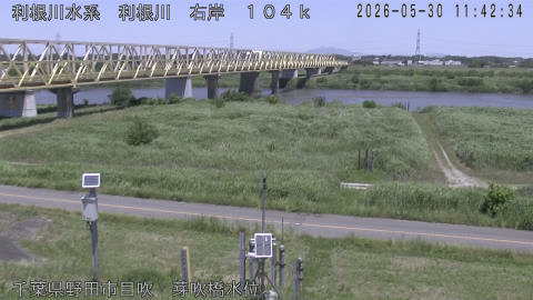 tonme2026053012_image