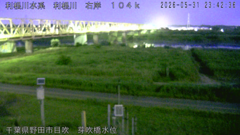 tonme2026060100_image
