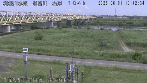tonme2026060111_image