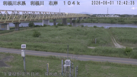 tonme2026060113_image