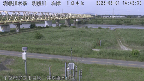 tonme2026060115_image