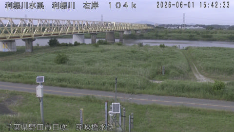 tonme2026060116_image