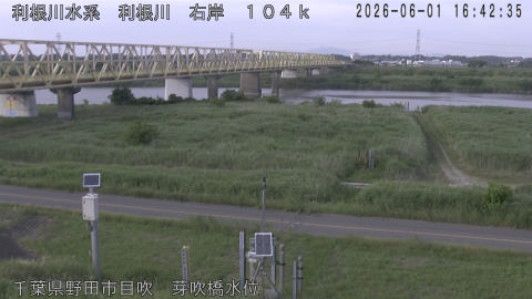 tonme2026060117_image