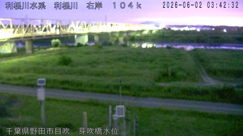 tonme2026060204_image