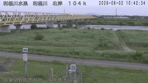 tonme2026060211_image