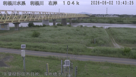 tonme2026060214_image