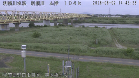 tonme2026060215_image