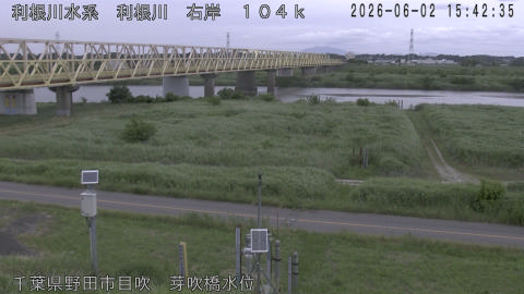 tonme2026060216_image