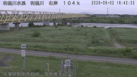 tonme2026060217_image