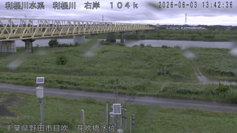 tonme2026060314_image