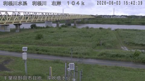 tonme2026060316_image