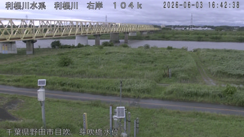 tonme2026060317_image