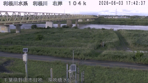 tonme2026060318_image