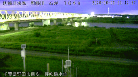 tonme2026060321_image