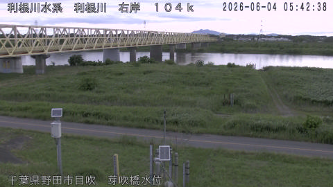 tonme2026060406_image