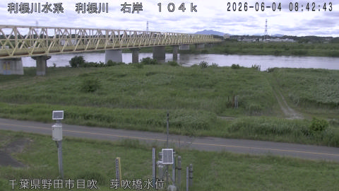tonme2026060409_image