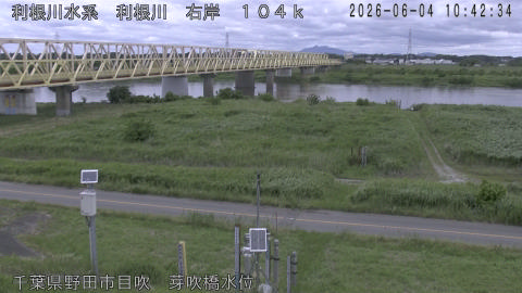 tonme2026060411_image