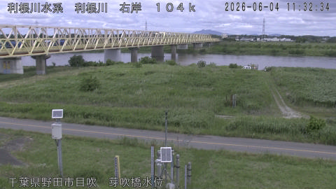 tonme2026060412_image