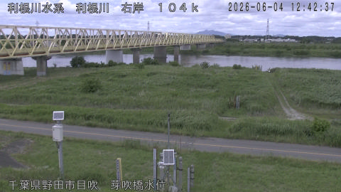 tonme2026060413_image