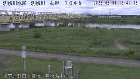 tonme2026060414_image