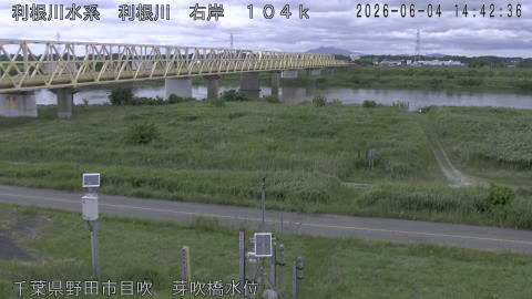 tonme2026060415_image
