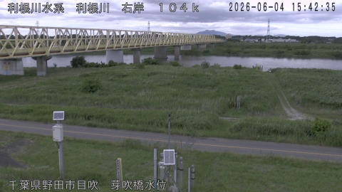 tonme2026060416_image
