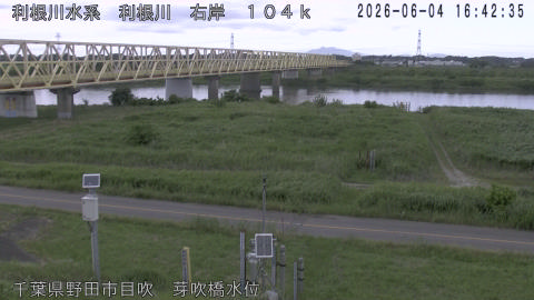 tonme2026060417_image