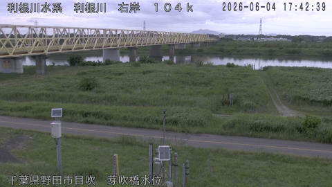 tonme2026060418_image