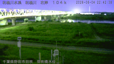 tonme2026060423_image