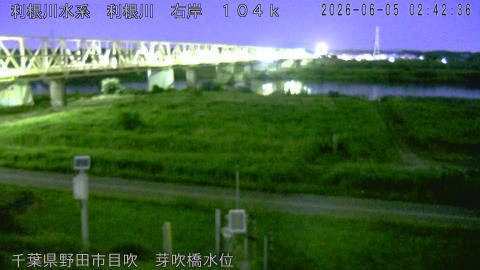 tonme2026060503_image