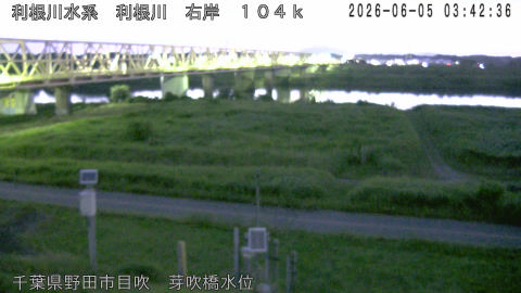 tonme2026060504_image