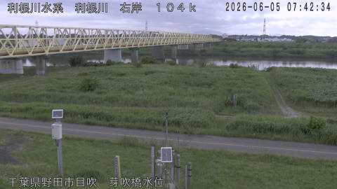 tonme2026060508_image