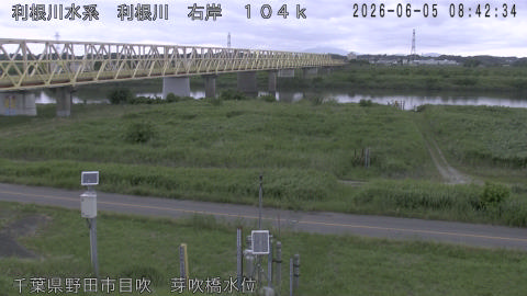 tonme2026060509_image